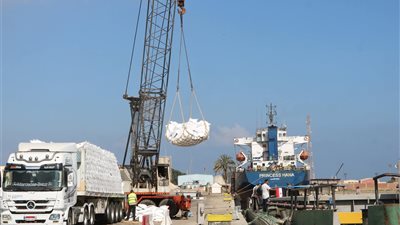 ميناء دمياط يشهد أول عملية شحن لليوريا عبر نهر النيل إلى توشكى