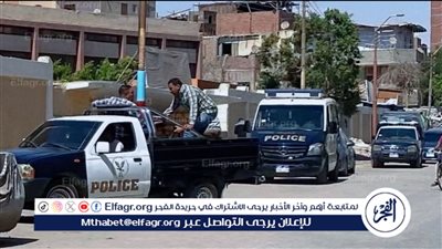 أم ترمي رضيعتها والكلاب تنهشها.. كشف لغز العثور على رأس طفلة ببني سويف