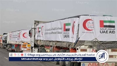 بتنسيق مصري.. مساعدات عربية وإماراتية مكثّفة تدخل غزة برًا وجوًا رغم أهوال الحرب