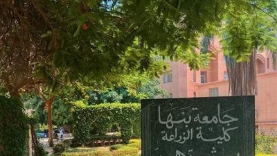 6 برامج دراسية متميزة باللغة الإنجليزية بزراعة بنها