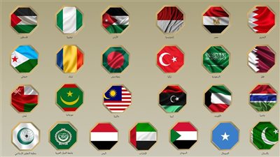 مصر و24 دولة يعلنون رفضهم لإعلان إسرائيل نيتها فرض السيطرة العسكرية الكاملة على قطاع غزة