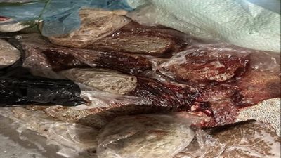 مباحث تموين الغربية تضبط 19 مخالفة تموينية وتتحفظ على سلع مغشوشة ومنتهية الصلاحية