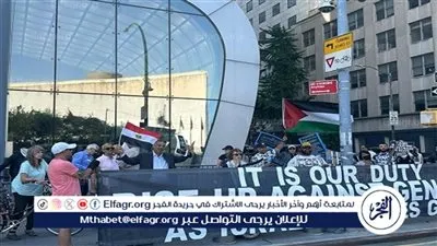 وقفة تضامنية في نيويورك دعما للموقف المصري الإنساني تجاه غزة (فيديو)