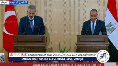 وزير الخارجية لنظيره التركي: مياه النيل قضية وجودية لمصر (فيديو)