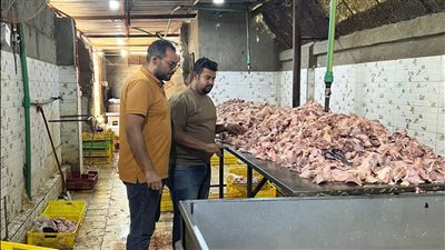 ضبط 13.5 طن لحوم ودواجن ومنتجات حيوانية فاسدة بكرداسة وبولاق وإمبابة وأكتوبر والعمرانية