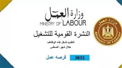 للباحثين عن الوظائف.. بـ10 محافظات وزارة العمل تعلن توفير 3633 فرصة عمل جديدة فى 34 شركة