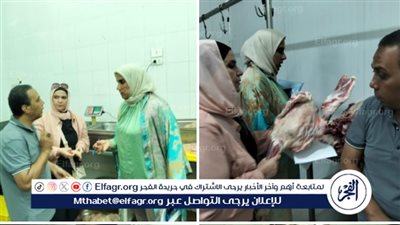 محافظ الدقهلية: ضبط 12 طن اجزاء دجاج وجمبري غير مطابقة للمواصفات بطلخا