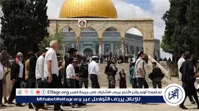 254 مستوطنًا يقتحمون المسجد الأقصى بحماية شرطة الاحتلال