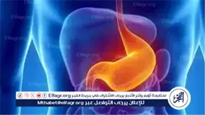 حمض المعدة.. 7 فوائد أساسية لصحة الجسم ودوره في تعزيز الهضم