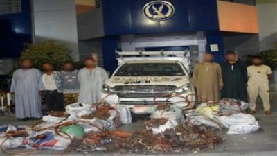 تفاصيل سرقة سيارة محملة بـ 1،5 طن من النحاس في الصف 