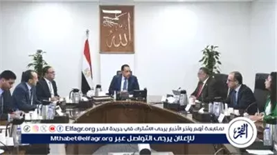 رئيس الوزراء يبحث مع رئيس 