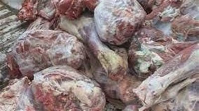 ضبط 429 كجما من اللحوم والمنتجات مجهولة المصدر في الغربية