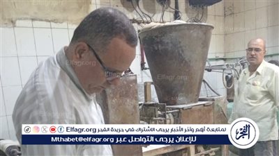 محافظ الدقهلية: التحفظ على 1000لتر بنزين و10 شكاير دقيق مدعم و192 محضرًا للمخابز خلال يوم