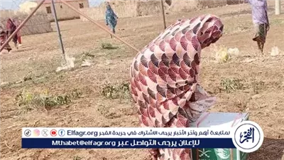 مركز الملك سلمان للإغاثة يوزع (700) سلة غذائية في محلية أم القرى بولاية الجزيرة في السودان