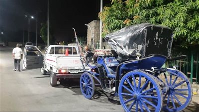 حملة مكبرة لضبط عربات الحنطور المخالفة بمدينة أسوان