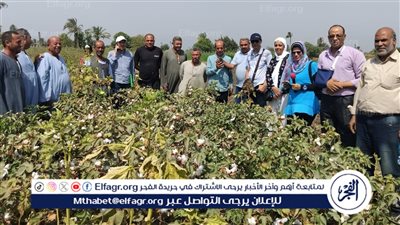 في إطار جهود النهوض بمحصول القطن.. زراعة الفيوم تنظم ندوة إرشادية بمركز أبشواي