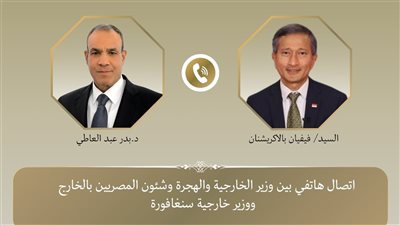 هاتفيًا.. وزير الخارجية يبحث الأوضاع الإنسانية في غزة مع وزير خارجية سنغافورة