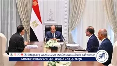 الرئيس السيسي يطّلع على المؤشرات الأولية للأداء المالي لعام 2024/2025