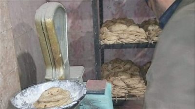 تحرير 15 محضر ضد أصحاب مخابز بلدية وسياحية بالغربية