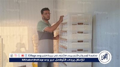 ضبط كمية كبيرة من جبنة الموزاريلا مجهولة المصدر في حملة رقابية ببني سويف