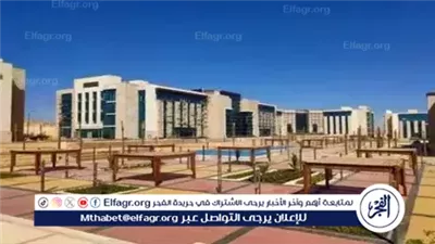 إعلان القائمة المبدئية للمرشحين لرئاسة خمس جامعات أهلية في مصر