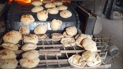 تحرير 21 محضرًا لمخابز بلدية وسياحية مخالفة بالمحلة الكبري