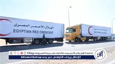 مصر ودعم الشعب الفلسطيني: جهود إنسانية متواصلة رغم التحديات