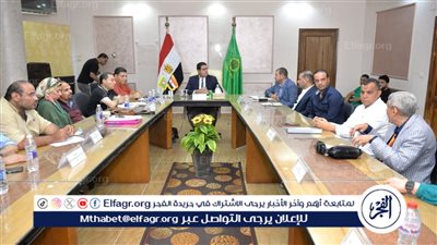 نائب محافظ الدقهلية يترأس اجتماع متابعة الأعمال بالمنطقة الصناعية بجمصة..صور