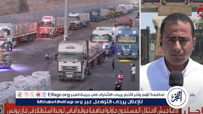 القاهرة الإخبارية: تكدس آلاف الشاحنات في رفح وعرقلة مستمرة لدخول المساعدات إلى غزة (فيديو)
