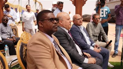 السكرتير العام لاسوان يشارك فى فعاليات إنزال أحد البواخر السياحية بمياه بحيرة ناصر بحضور سفراء أفارقة