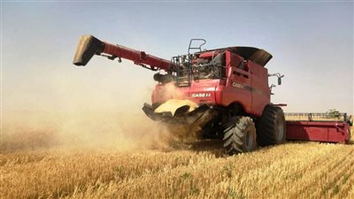 بدء إستخدام القمح للطحن من المواقع التخزينية بأسوان