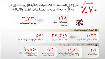 بالأرقام.. الخارجية تكشف جهود مصر في دعم غزة