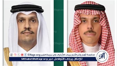 وزير الخارجية ونظيره البحريني يبحثان آخر التطورات الإقليمية والدولية