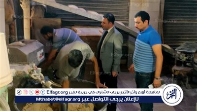 محافظ الدقهلية: تحرير 13 مخالفة في حملة رقابية وتفتيشية على المخابز بمركزي المنصورة وشربين
