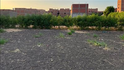 أهالي قرية بني مجدول بالجيزة يتبرعون بقطعة أرض لبناء مدرسة ويستغيثون بالمسئولين لسرعة بنائها