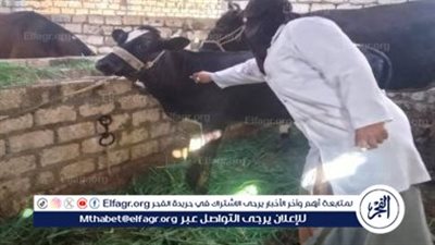محافظ أسيوط يعلن عن تحصين 20 ألف رأس ماشية في الأسبوع الأول من الحملة القومية ضد فيروس SAT-1