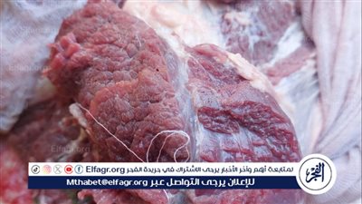 ضبط لحوم وسلع غذائية فاسدة وتحرير 260 محضرًا تموينيا فى أسيوط 