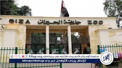 بعد التساؤلات حول سلامة حيوانات حديقة الجيزة.. خبراء عالميون يتحدثون عن تفاصيل تطوير الحديقة والاهتمام بصحة الحيوانات فيها