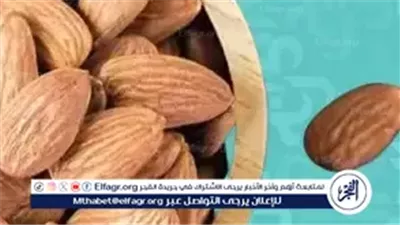 5 حبات لوز منقوعة على الريق.. فوائد مذهلة للجسم والعقل