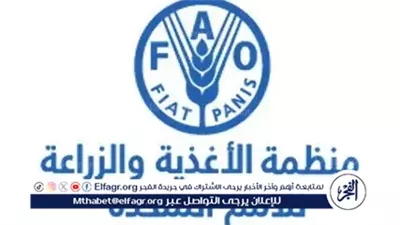 مدير الفاو: سكان غزة استنفدوا كل سبل البقاء والمجاعة تهدد مئات الآلاف