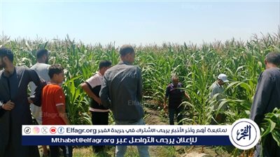 وكيل وزارة الزراعة بأسيوط يتابع يوم حقل بمركز منفلوط 