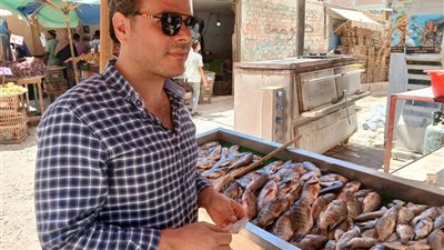 حملات تموينية مكبرة بالعامرية تضبط نصف طن دقيق مدعم وسلع مجهولة المصدر