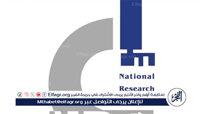 الغيطاني: الطباخ الشمسي ابتكار وطني يوفر الطاقة ويحمي البيئة