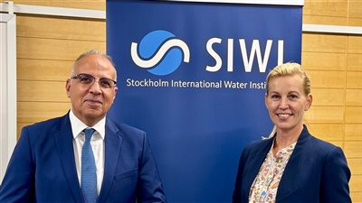 وزير الري يلتقي المديرة التنفيذية للمعهد الدولي للمياه بستوكهولم 