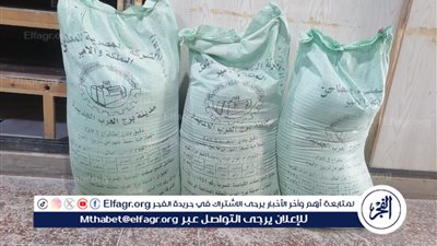 ضبط 10 أطنان دقيق مدعم و10 أسطوانات بوتاجاز ببرج العرب في الإسكندرية 