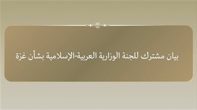 اللجنة الوزارية العربية الإسلامية تصدر بيانا بشأن عدم منح تأشيرات للوفد الفلسطيني 