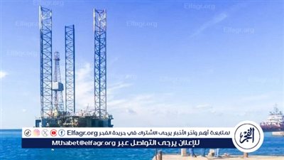 موانئ المنطقة الاقتصادية تستقبل سفن بضائع ومعدات استراتيجية بميناءي السخنة