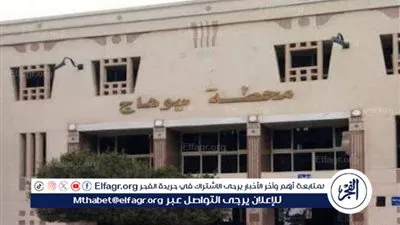 تركا رحلتهما..فصل رئيس قطار وكمساري من الخدمة نهائيا بعد واقعة محطة المراغة بسوهاج 