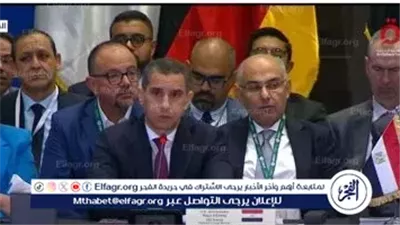 ممثل مصر أمام قمة العشرين: الأمن الغذائي تحدٍ معقد يحتاج لإصلاحات شاملة
