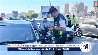 محافظ الدقهلية 